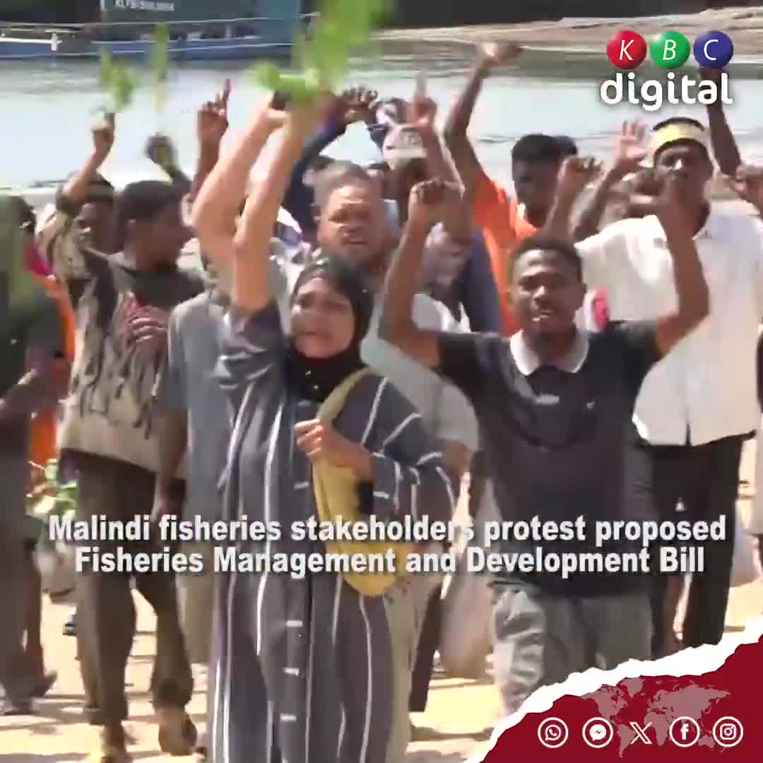 Os intervenientes na pesca de Malindi realizaram uma manifestação pacífica no local de desembarque de peixe de Shella, protestando contra o projeto de lei de gestão e desenvolvimento das pescas, considerando-o inconstitucional.